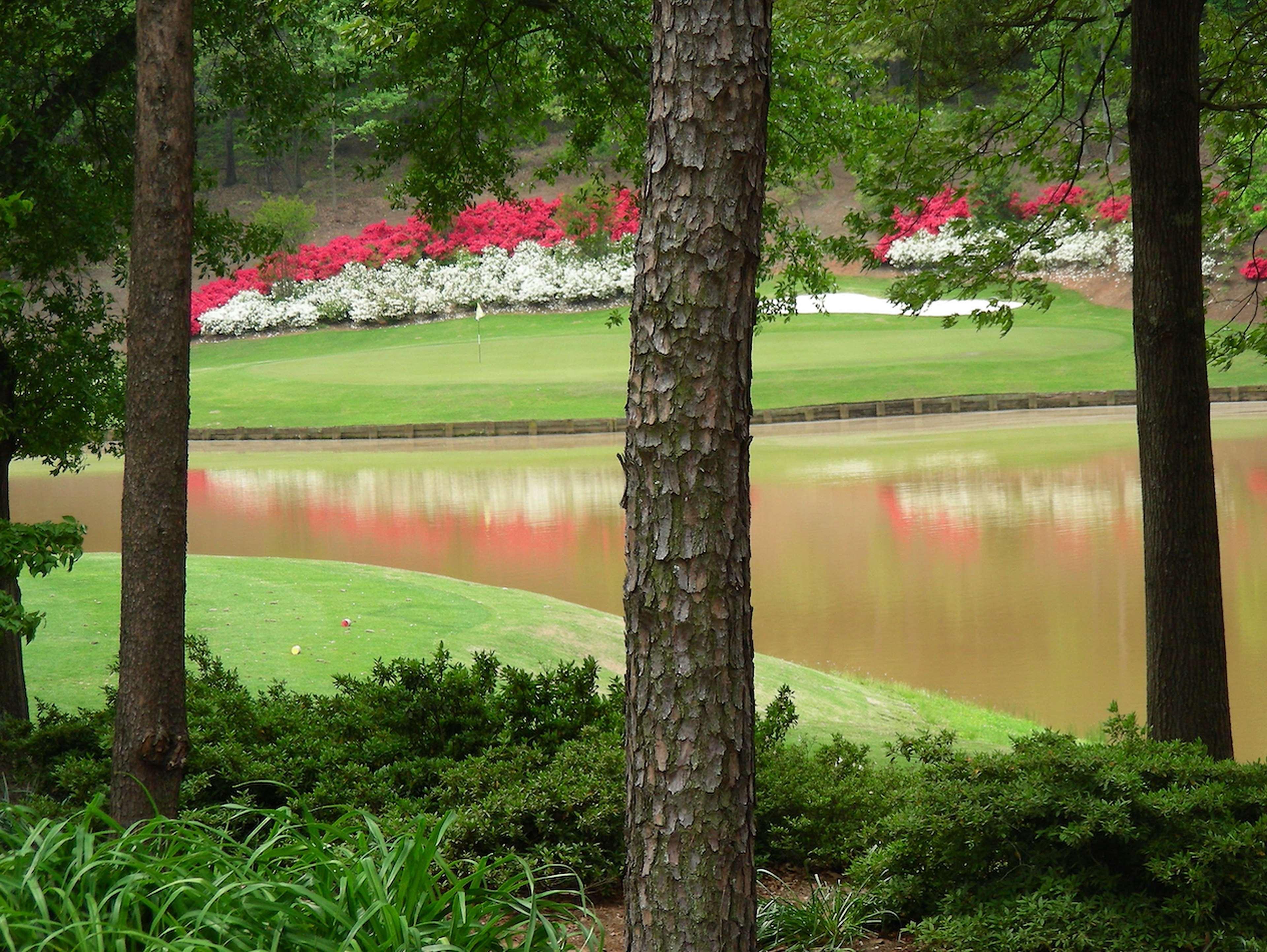 Embassy Suites Greenville Golf Resort & Conference Center Exteriör bild